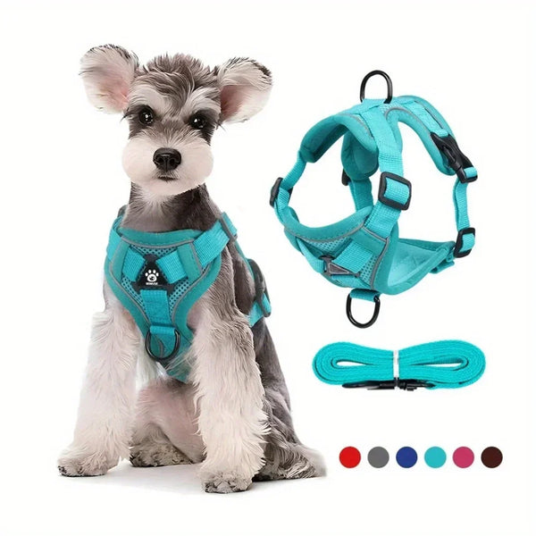 Comfort Control Dog Harness Set